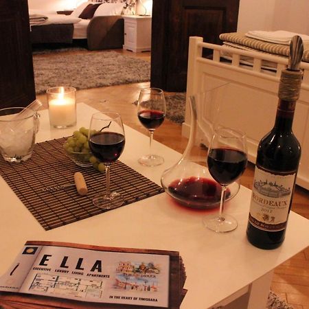 Ella Apartment Timisoara No9 Luaran gambar
