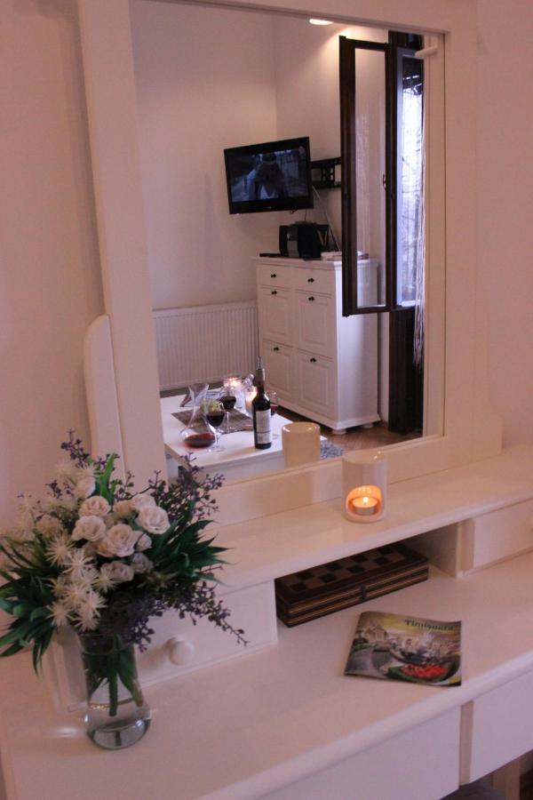 Ella Apartment Timisoara No9 Luaran gambar