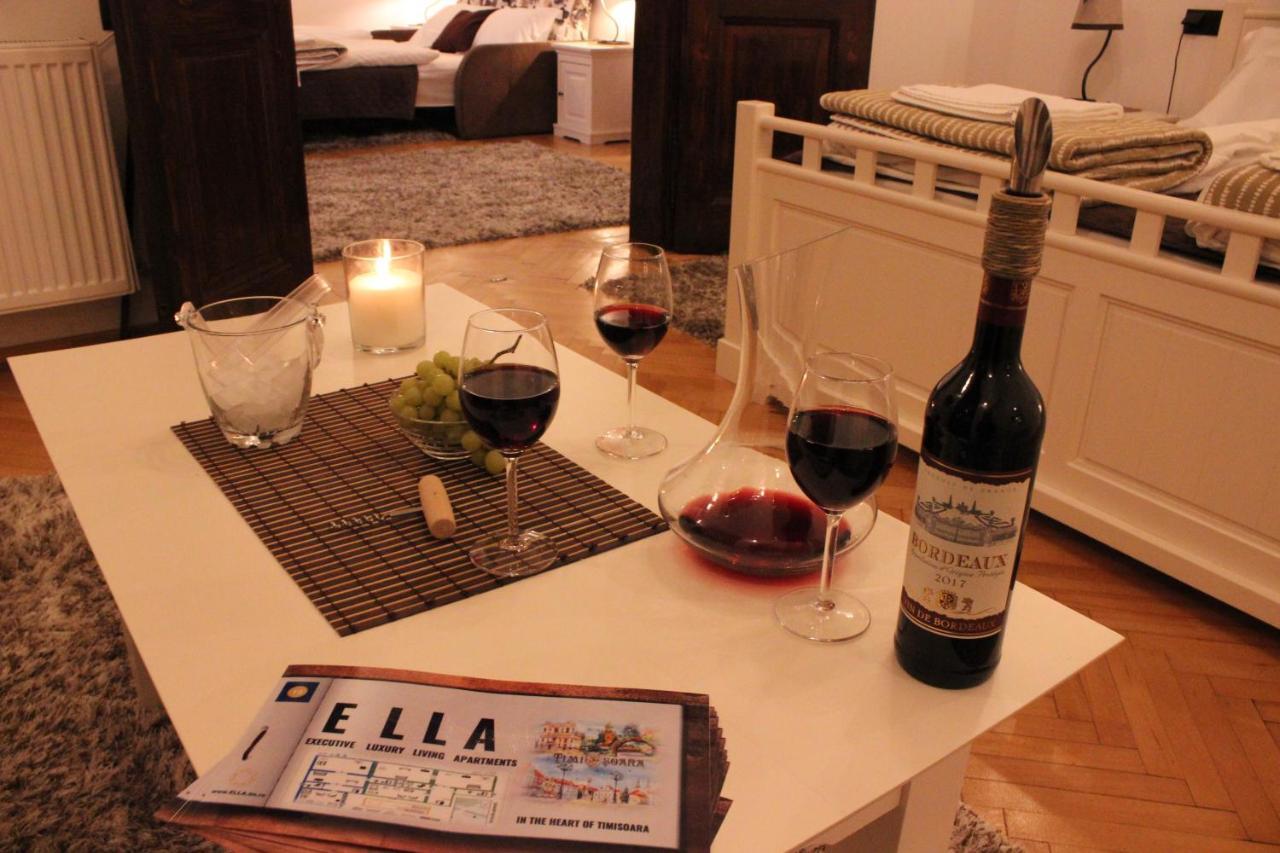 Ella Apartment Timisoara No9 Luaran gambar